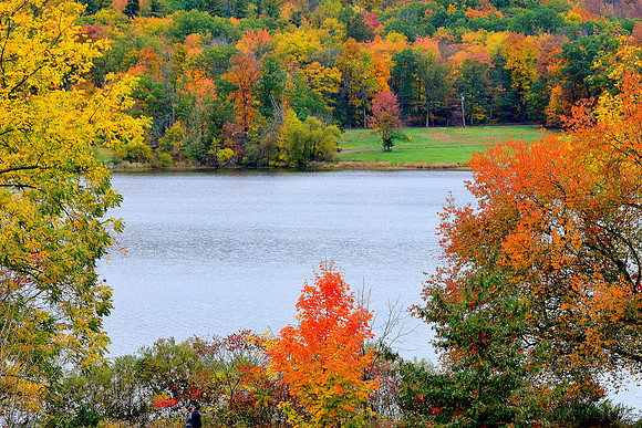 Fall Splendor