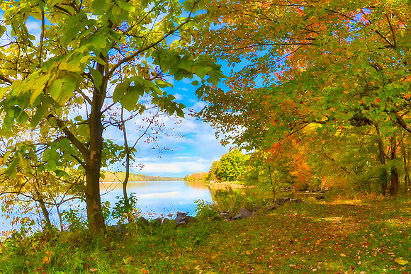 Blue Sky, Autumn Day
