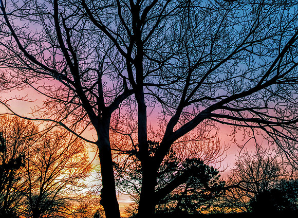 Pink Sky Sunset