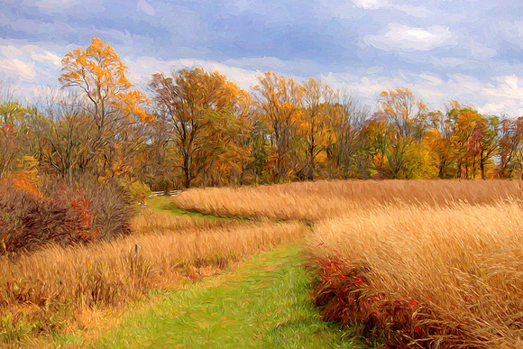 Bright Golden Meadow