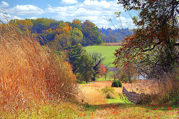Scenic Autumn View