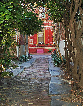 Tree Lined Elfreths Alley