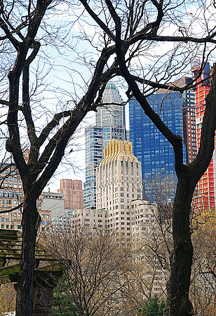 View of NYC from Central Park