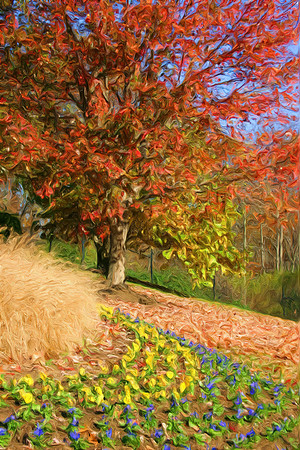 Colorful Autumn Carpet (Painted)