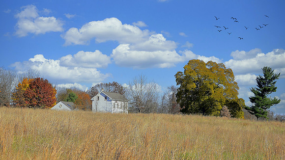 Tyler State Park Field and Sky