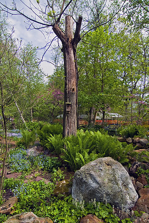Churchville Nature Center Path