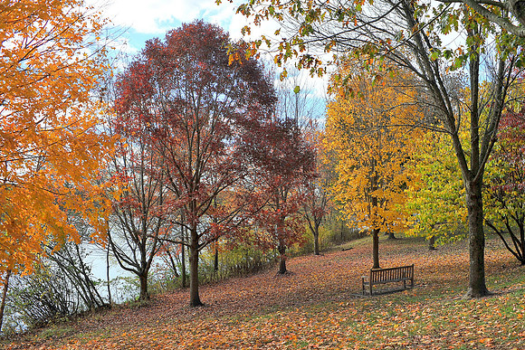 Park Bench overlooking Lake Luxemborg