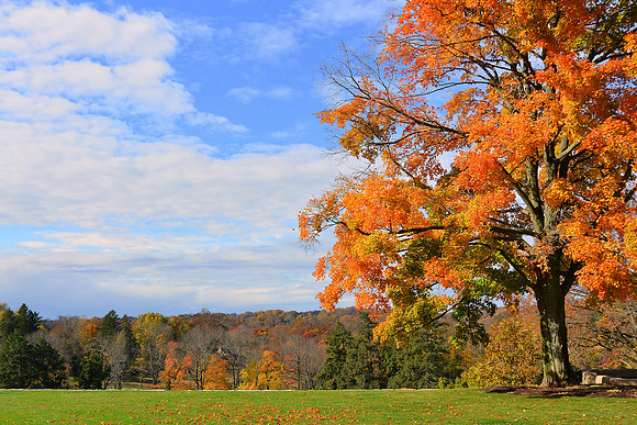 Autumn Orange Blessings