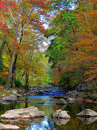 Stepping stones on Pennypack Creek