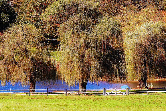 Pond at Raytharn Barn