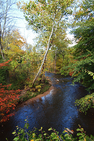 Along the Winding Creek
