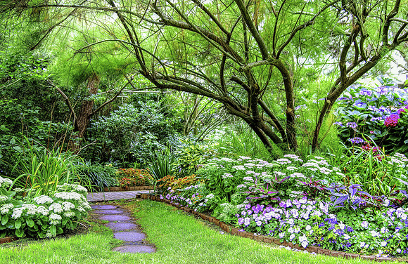 Enchanted Garden