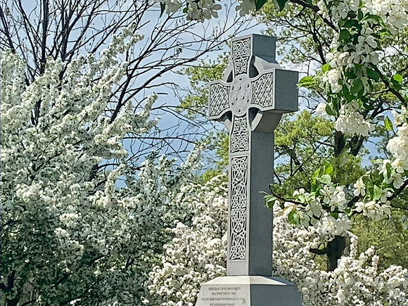 Celtic Cross and Spring Blossoms