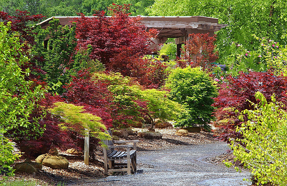 Rutgers Nursery Tree Lined Path