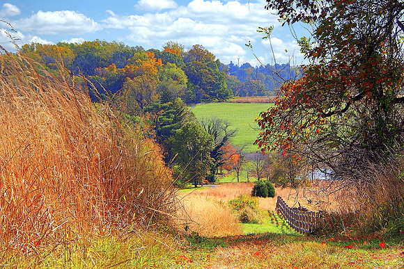 Autumn Splendor