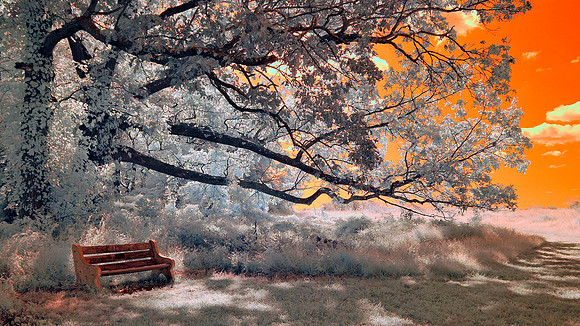 Artistic Infrared