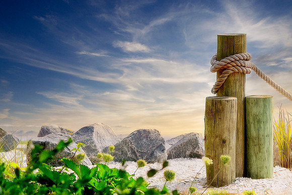 Nautical Pilings