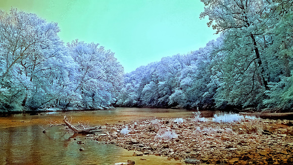 Quiet Creek at Tyler State Park