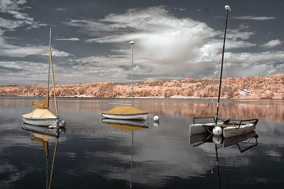 Sailboats at Rest on Lake Galena