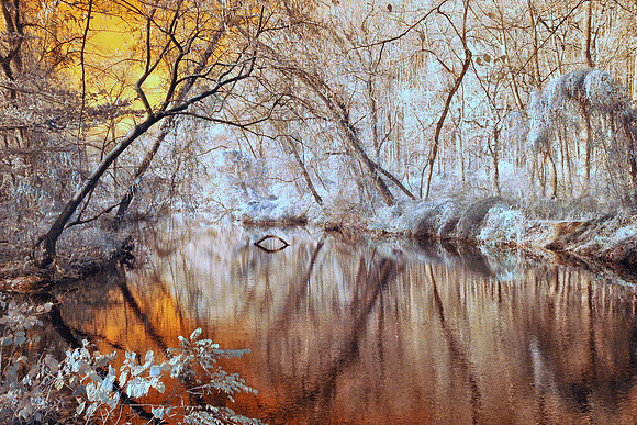 Sunlit Reflections on Pennypack Creek