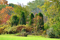 PerkasieMarkeyPark04_12x18
