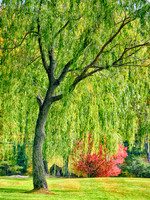PerkasieMarkeyPark01_12x16