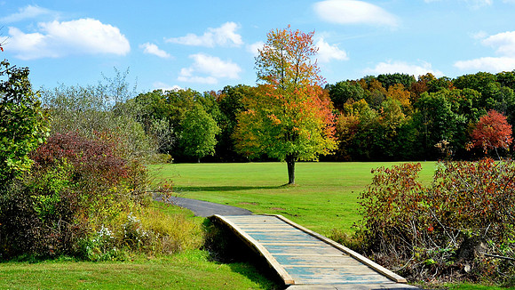 PerkasieMarkeyPark07_16x9