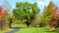 PerkasieMarkeyPark06_16x9